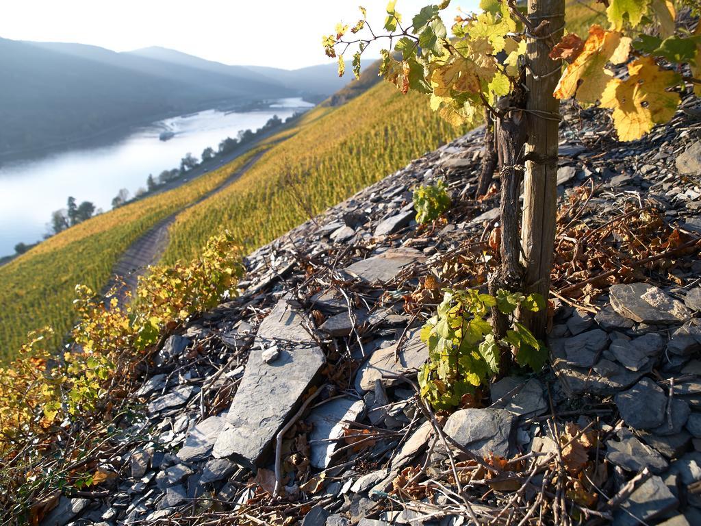Wein- Und Landhaus S A Pruem Bernkastel-Kues Eksteriør bilde
