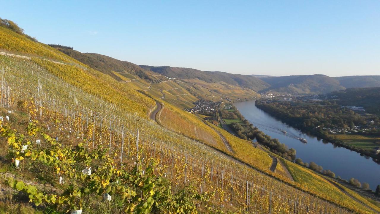 Wein- Und Landhaus S A Pruem Bernkastel-Kues Eksteriør bilde